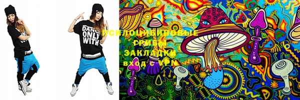 ECSTASY Вязники